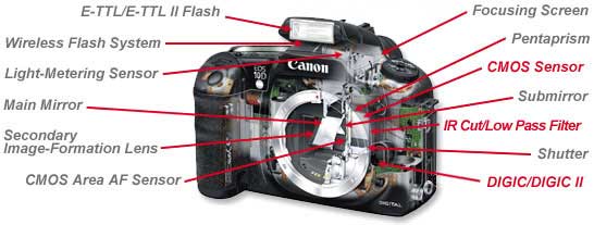 How DSLR Cameras Work